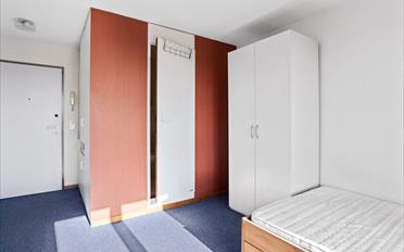 Wohnung ein Zimmer - image - 4