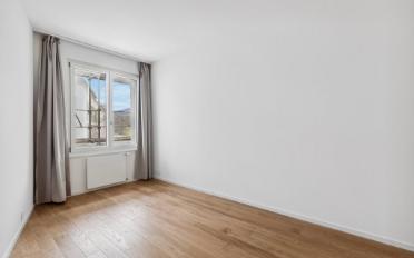 Attic flat 5 rooms - image - 6