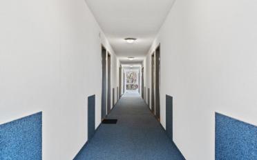 Apartment 1 room - image - 6