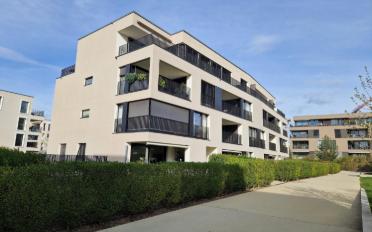 Apartment 2.5 rooms - image - 2