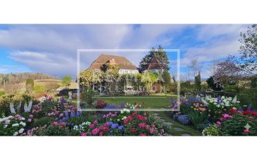 Einfamilienhaus 8 Zimmer - image - 1