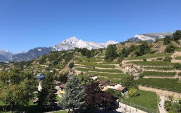 Wohnung 3.5 Zimmer - image - 1