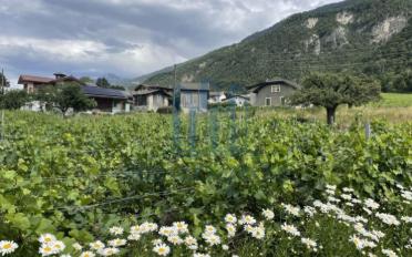 Villa 4.5 pièces - image - 9