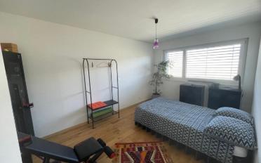 Villa 5.5 pièces - image - 5