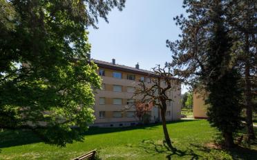 Apartment 2.5 rooms - image - 3