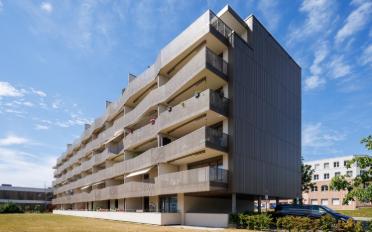 Place souterraine - image - 2