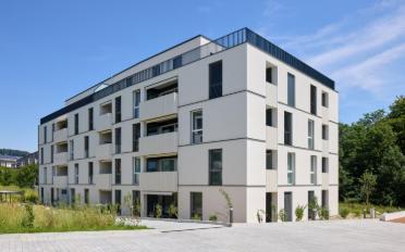 Wohnung 2.5 Zimmer - image - 7