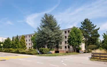 offener Parkplatz - image - 4