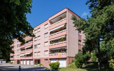 Wohnung ein Zimmer - image - 2