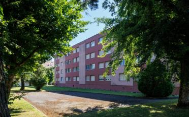Wohnung ein Zimmer - image - 4