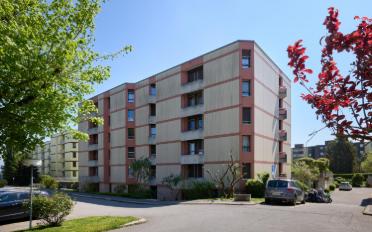 Wohnung 4 Zimmer - image - 2