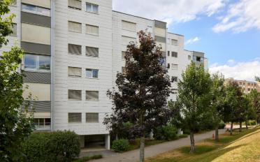 Apartment 3.5 rooms - image - 3