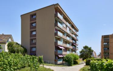 Apartment 1 room - image - 1
