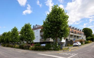 Wohnung 2.5 Zimmer - image - 2