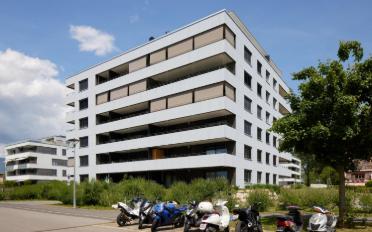Wohnung 3.5 Zimmer - image - 2