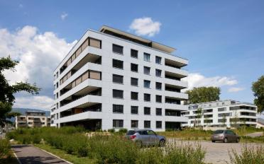 Wohnung 3.5 Zimmer - image - 3