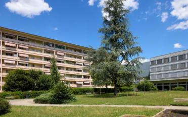 Wohnung 3 Zimmer - image - 2