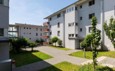 Wohnung 3.5 Zimmer - image - 2