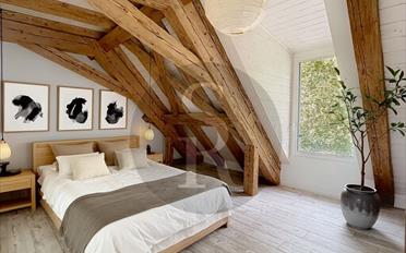 Duplex 3.5 Zimmer - image - 3