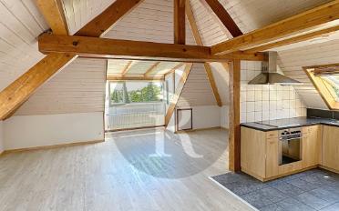 Apartment - image - 1