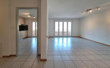 Wohnung 2.5 Zimmer - image - 4