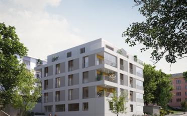 Wohnung 2.5 Zimmer - image - 3
