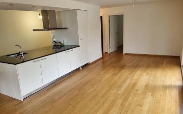 Wohnung 2.5 Zimmer - image - 1