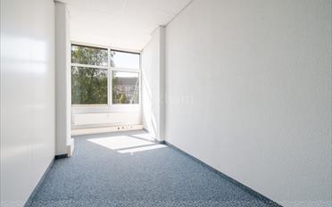 Office - image - 7