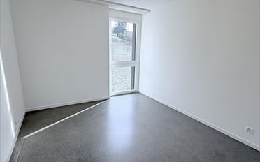 Wohnung 3.5 Zimmer - image - 4