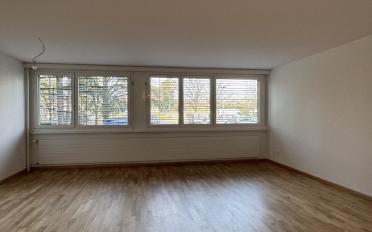 Wohnung 1.5 Zimmer - image - 1