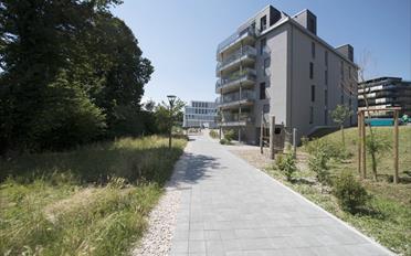 Tiefgarage - image - 4