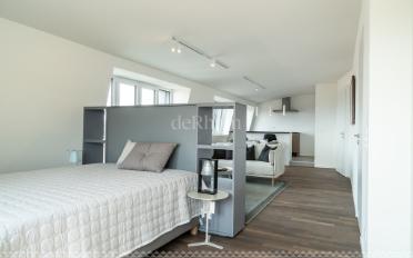 Loft 1 pièce - image - 2