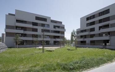 Appartement 2.5 pièces - image - 6