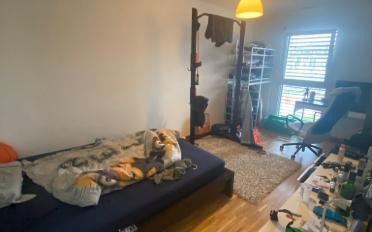 Wohnung 4 Zimmer - image - 4