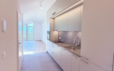Wohnung 2.5 Zimmer - image - 1