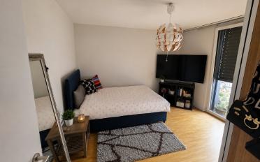 Wohnung 2.5 Zimmer - image - 1