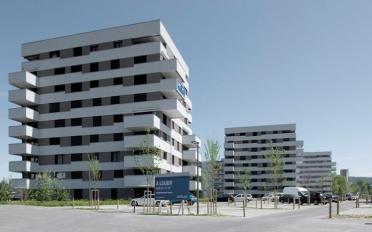 Wohnung 2.5 Zimmer - image - 1