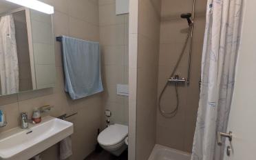 Apartment 1 room - image - 5