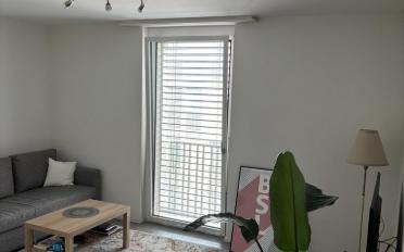 Wohnung ein Zimmer - image - 1