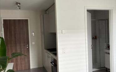Wohnung ein Zimmer - image - 4