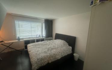 Duplex 2.5 pièces - image - 3
