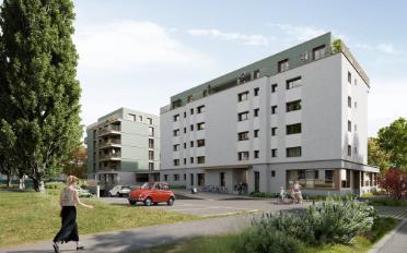 Apartment 2.5 rooms - image - 12