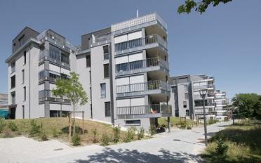 Wohnung 2.5 Zimmer - image - 1