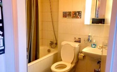 Wohnung ein Zimmer - image - 6