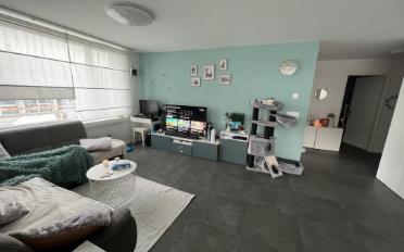 Wohnung 3.5 Zimmer - image - 2