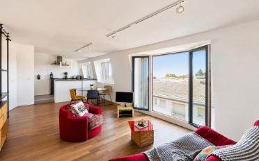 Loft 1 room - image - 1