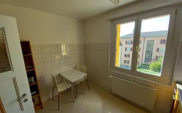 Apartment 1.5 rooms - image - 7