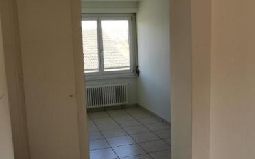 Wohnung 3 Zimmer - image - 8