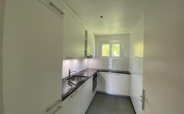 Wohnung 4.5 Zimmer - image - 4