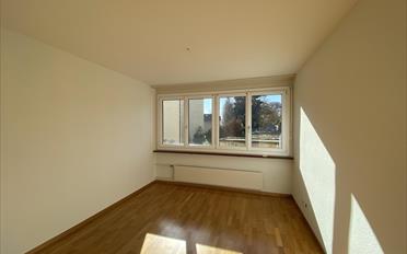 Wohnung 4 Zimmer - image - 7